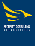 SECURITY CONSULTING 